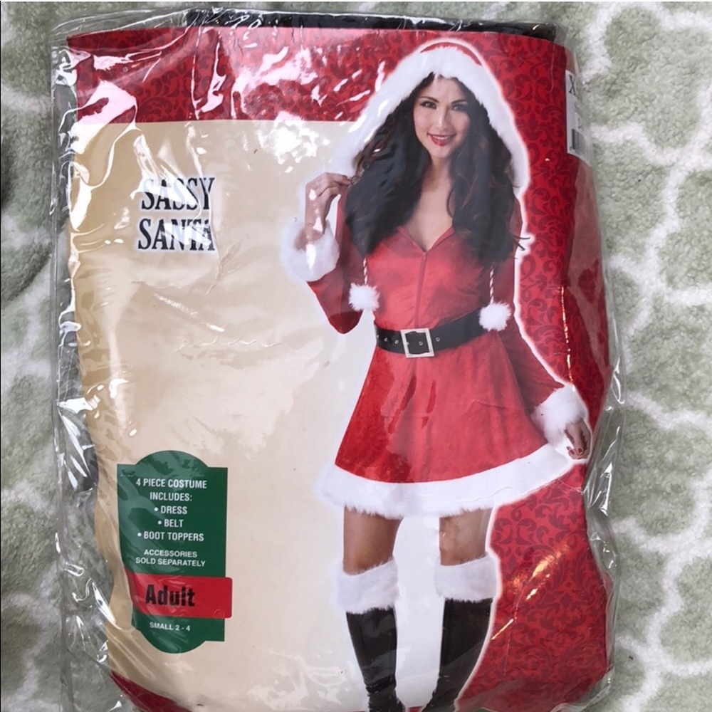 Sassy Santa suit / costume/ Christmas outfit